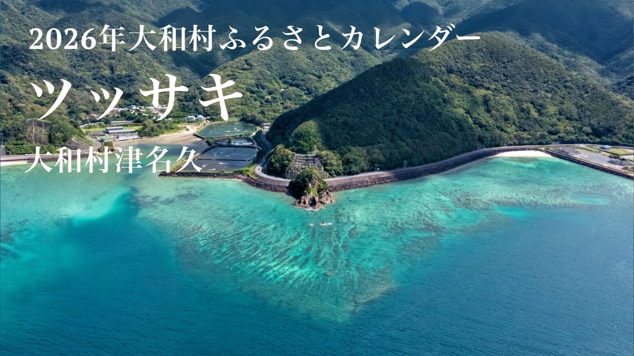 ツッサキ - 大和村津名久（2026年大和村ふるさとカレンダー）