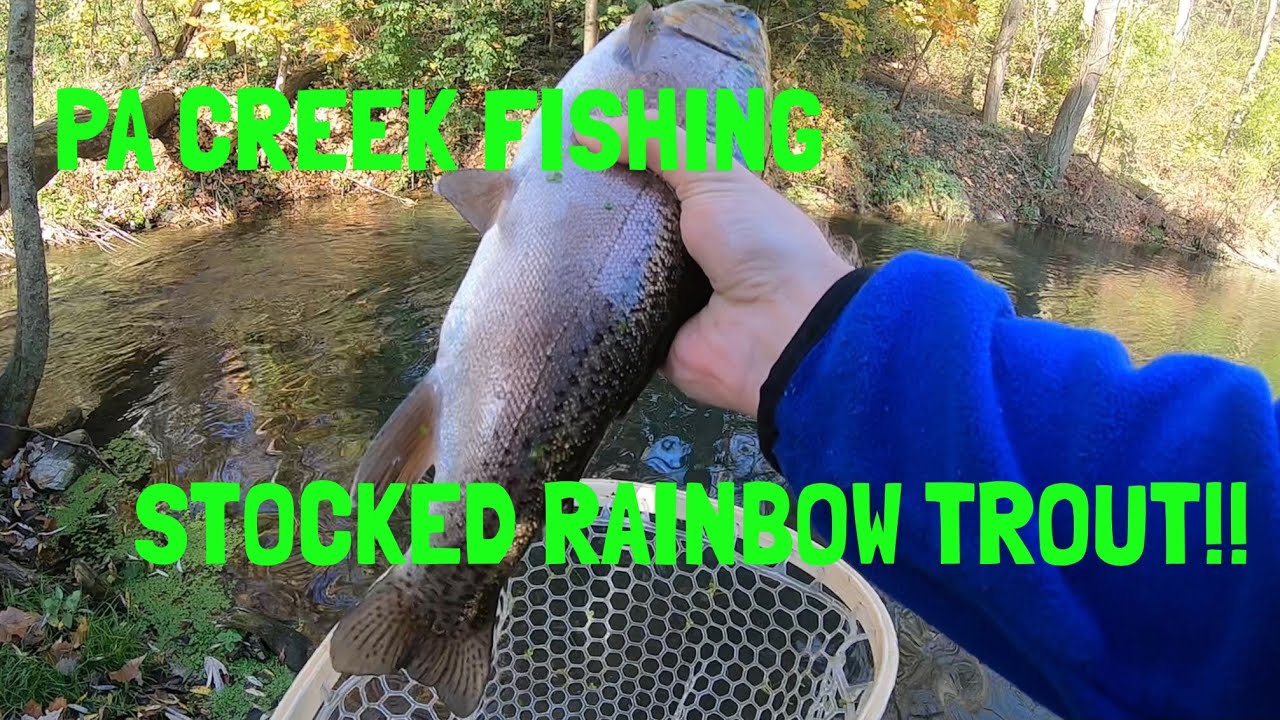 Pennsylvania Creek Fly Fishing Southeastern PA Stocked Rainbow Trout