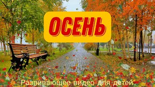 🍁 Осень. Лексическая Тема 