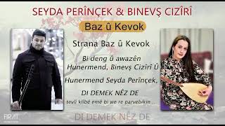 Baz û Kevok