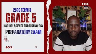 Grade 5 Natural Sciences Term 3 Test | CAPS Revision | Stored Energy in Fuels | Questions & Answers