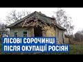 Понівечені будинки місцевих: село Лісові Сорочинці, що на Чернігівщині, після відходу росіян