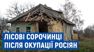 Понівечені будинки місцевих: село Лісові Сорочинці, що на Чернігівщині, після відходу росіян