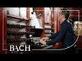 Bach Herr Jesu Christ BWV 1114 Jacobs Netherlands Bach Society Bach Herr Jesu Christ BWV 1114 Jacobs Netherlands Bach Society