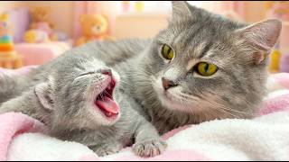 Mother cat fed her newborn kittens and put them to sleep