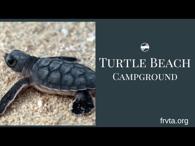 Turtle Beach Campground