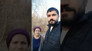 Alevilik Ve İnsanlık - Alevi Canlar Resimi