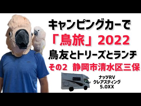 キャンピングカーで「鳥旅」2022年その❷　　静岡市清水区三保で鳥友とランチ