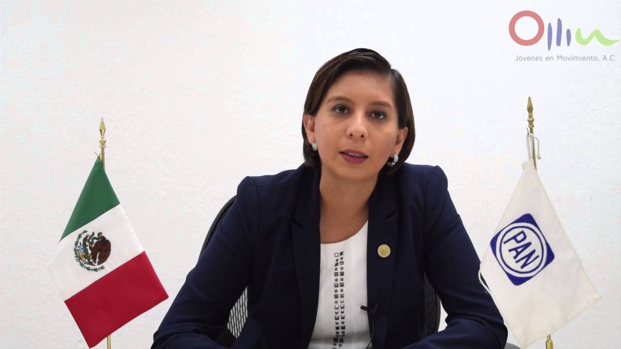 Entrevista a Adriana Elizarraraz, Diputada Federal - YouTube