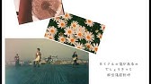 ラックライフ 僕ら Music Video 映画 文豪ストレイドッグス Dead Apple デッドアップル Ed主題歌 Youtube ラックライフ 僕ら Music Video 映画 文豪ストレイドッグス Dead Apple デッドアップル Ed主題歌 Youtube