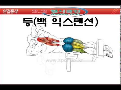 백익스텐션에 대한 이미지 검색결과