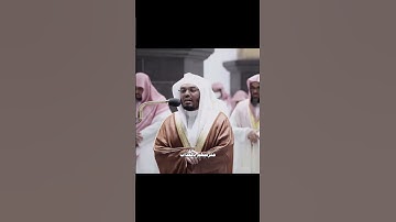 قمة الخشوع والطمأنينة ❤️ تلاوة مباركة من الشيخ ياسر الدوسري //أجر لي ولكم .. 🤲🏻❤️