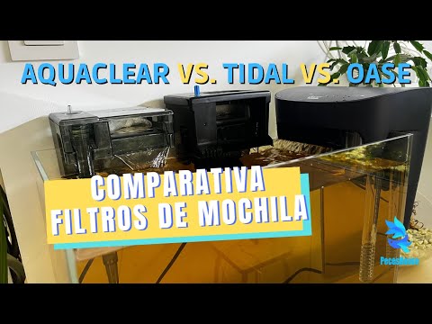 Video: Lo que usted necesita saber sobre la alimentación de su pescado