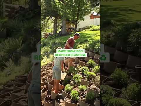 Video: Planter for tørketolerant landskapsarbeid
