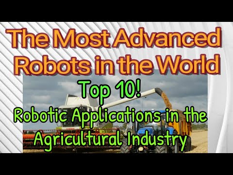 Top 10 -