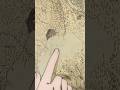 京都大火はあくまで作品の第1段階！｜「#るろうに剣心」第41話より #斉藤壮馬 #shorts