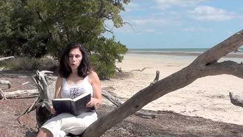 Workbook Lesson 63 from A Course in Miracles with Amy Torres