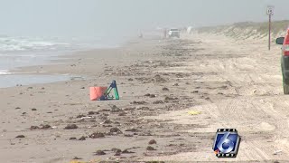 A sticky situation: Tar balls wash up on nearby beaches