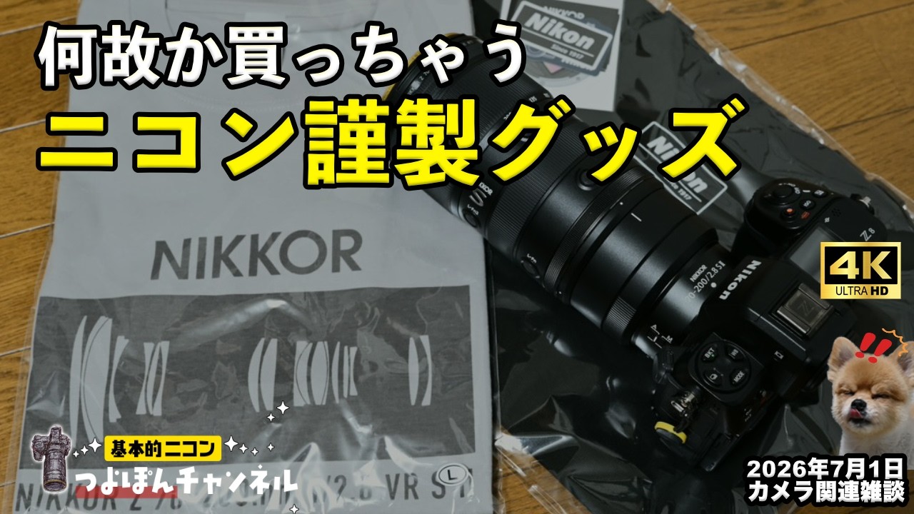 おまけ多数✨初心者向け✨Nikon D3000✨入門モデル✨入学式 運動会 何故か買っちゃうニコングッズ - YouTube