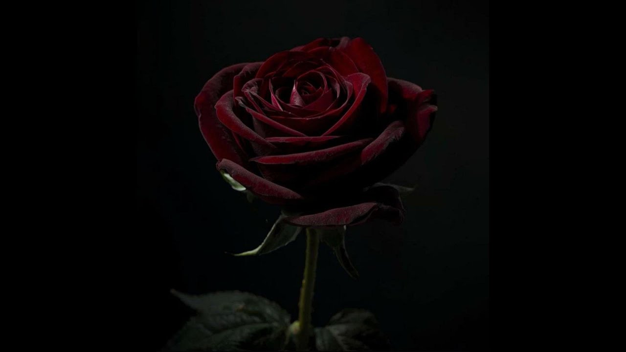 (FREE) Melodic Type Beat - "No One Listening" | Sad Type Beat | Rap Trap Instrumental