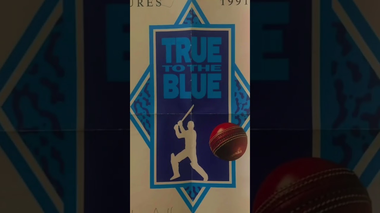 Who was your favourite NSW cricket player in the 90s 🏏