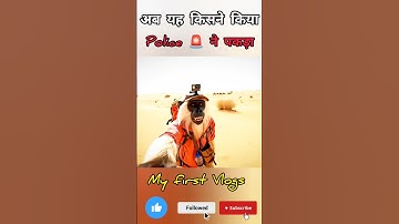 Monkey Ai Vlogs 🐒 My first Vlogs #shorts #ai #monkey  #vlog