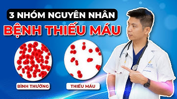 3 Nhóm Dấu Hiệu Cho Thấy Bạn Đang Mắc Bệnh Thiếu Máu | Dr Ngọc