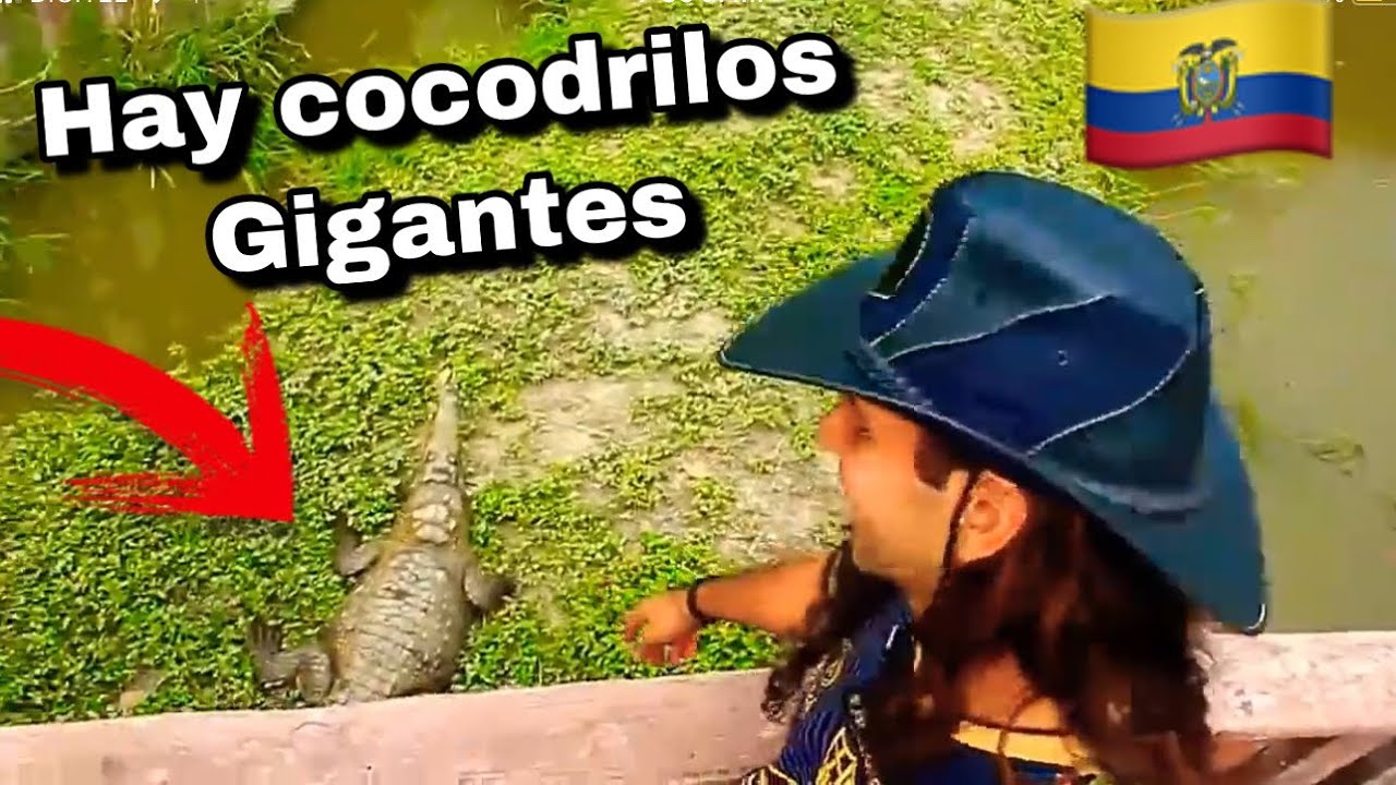 🇪🇨Conociendo LA ISLA SANTAY EN GUAYAQUIL ECUADOR , venezolanos en guayaquil