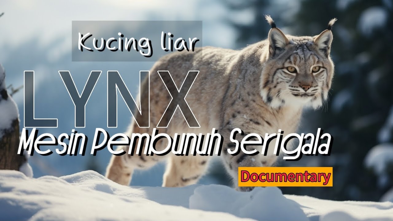 Mesin pembunuh serigala di alam liar, kucing bukan sembarang kucing, inilah 