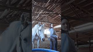 what happens when bareback riding #riding #bareback #horses #justagirl #ridingseason #bestrider #fyp