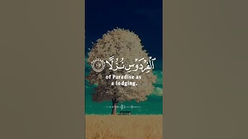 اكتب شيء تؤجر عليه | #القرآن_الكريم #تلاوة_خاشعة #متابعين #quran