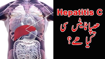 What Is Hepatitis C? | Symptoms, Causes, Transmission and How to #Test for Hepatitis From Home