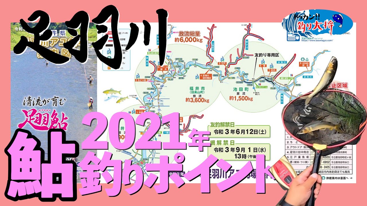 2021年足羽川鮎釣りポイント紹介！【池田町常安橋〜一乗谷川合流地点安波賀橋】