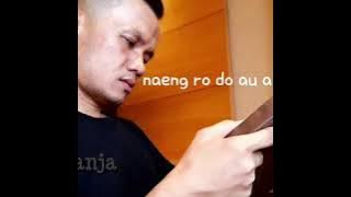 naeng ro do au inang - lirik lagu batak