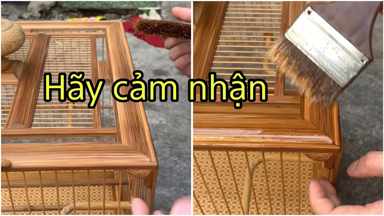 Mẫu lồng chào mào mà mình yêu thích nhất - lồng chim Vũ Minh