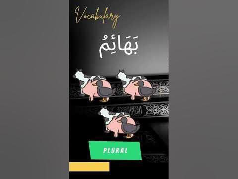How to say "Livestock" in (literary) Arabic ? 