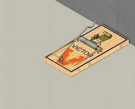 How to Set a Mouse Trap - Video Instructions / Demo