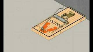 How to set a mouse trap - since most instructions they come with
aren't always clear.