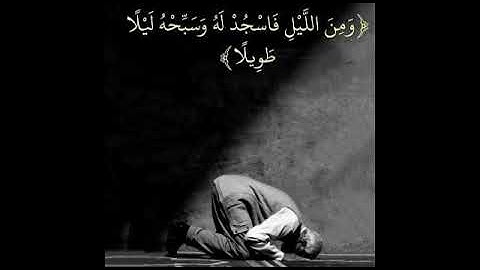 من سورة الانسان 19-31 بصوت الشيخ محمود المبيض