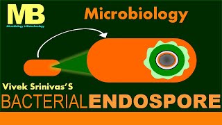 BACTERIAL ENDOSPORE | Microbiology | Vivek Srinivas | #Bacteriology