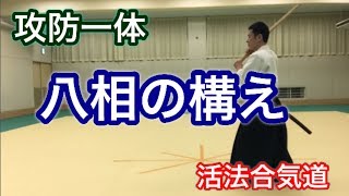 Aikido 合気道家におすすめ攻防一体「八相の構え」大阪道場 活法合気道