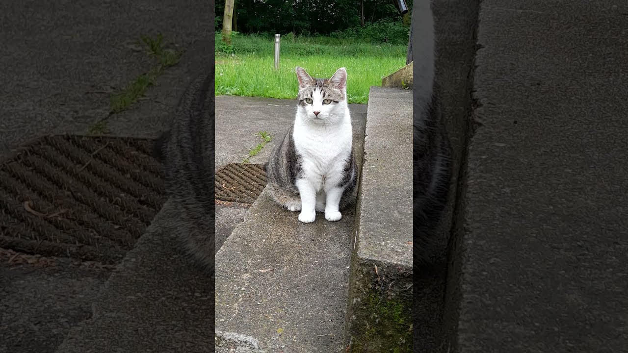 LuCa looking out for LuCia (3) 