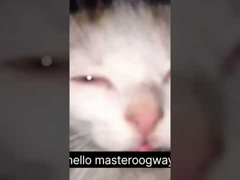 @masteroogwgay where you at?
