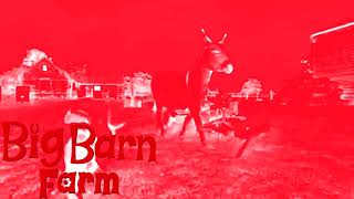 New Effect Big Barn Farm Theme Song In Bigbarnfarm Chorded