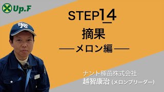【Up.FTV メロン編 STEP14】摘果