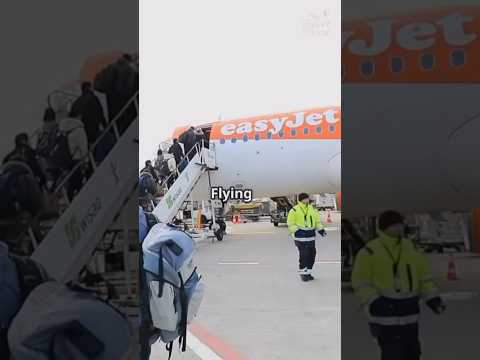 Does Easyjet Plus Include Fast Track