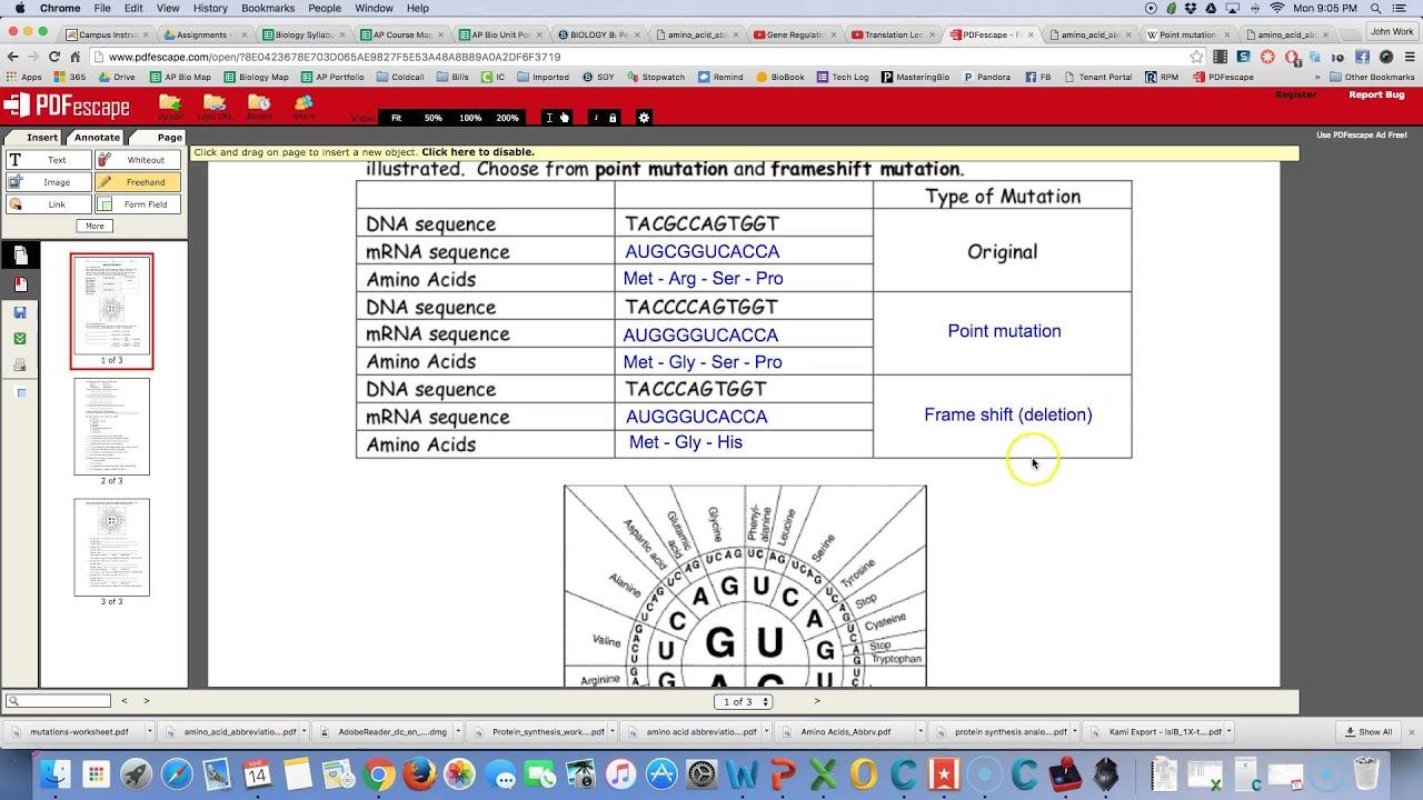 genetic-mutation-worksheet-answer-key-word-worksheet