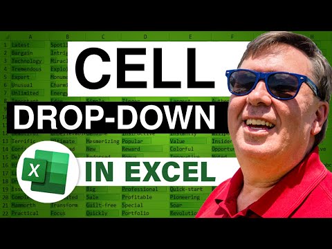 Excel - Improve Data Accuracy and Consistency in Excel with Data Validation - Episode 378