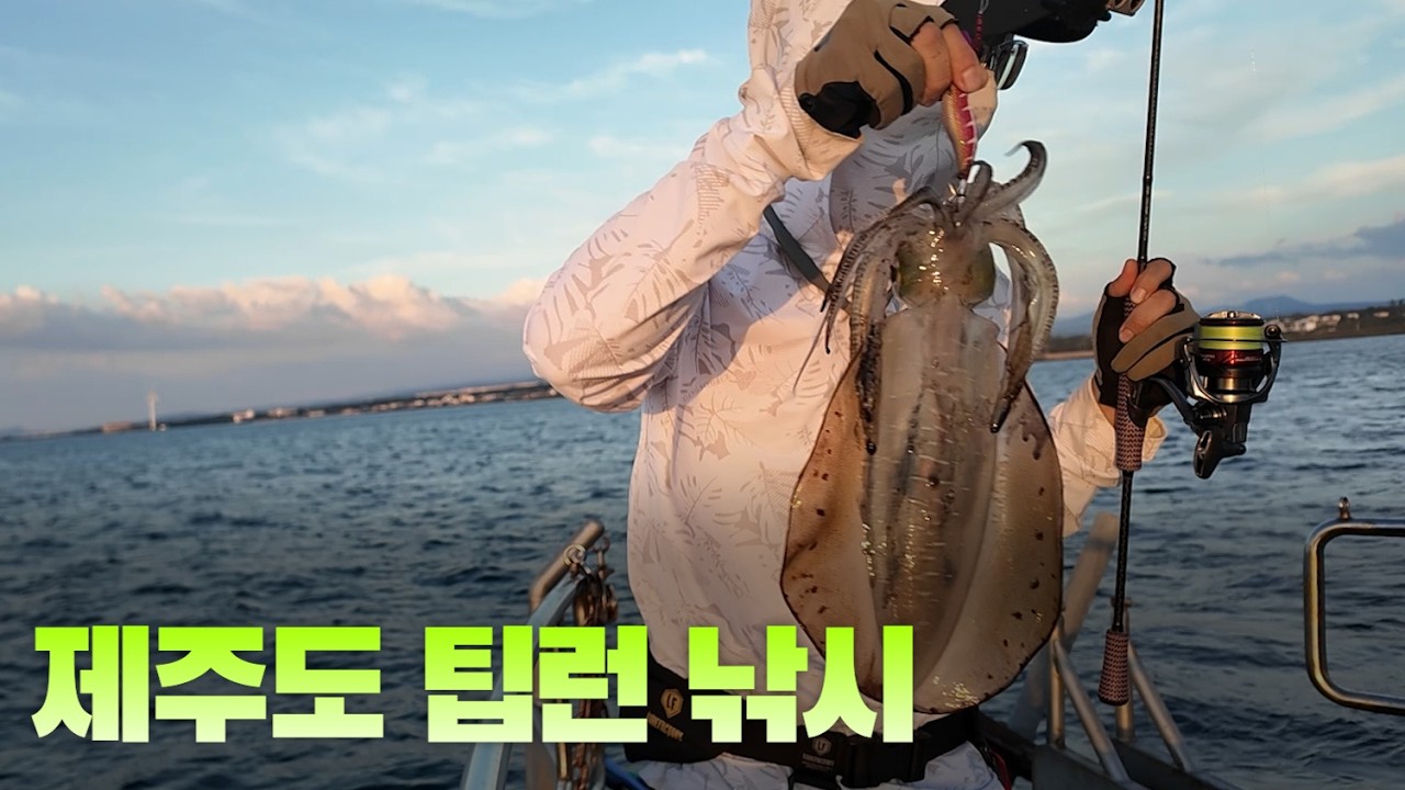낚시꾼의 로망! 제주 무늬오징어 팁런 시즌이 시작되었습니다!