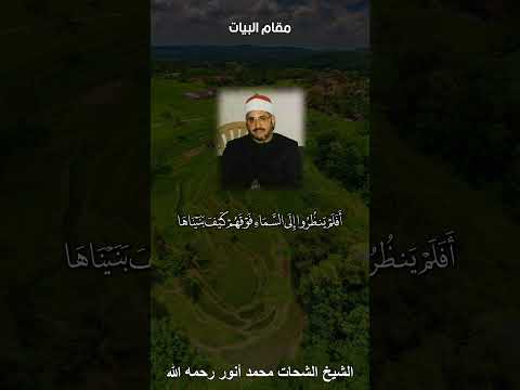 أفلم ينظروا إلى السماء فوقهم كيف بنيناها مقام البيات للشيخ الشحات محمد أنور رحمه الله 